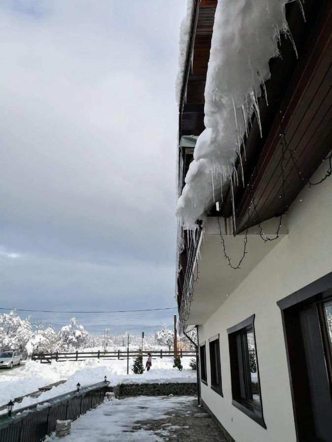 Hotel Complex Transalpina Aninisu din Vale Exterior foto
